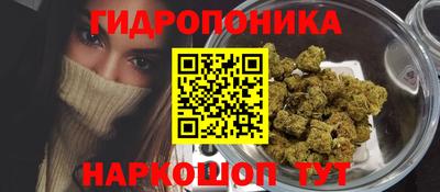 стаф Рыбинск