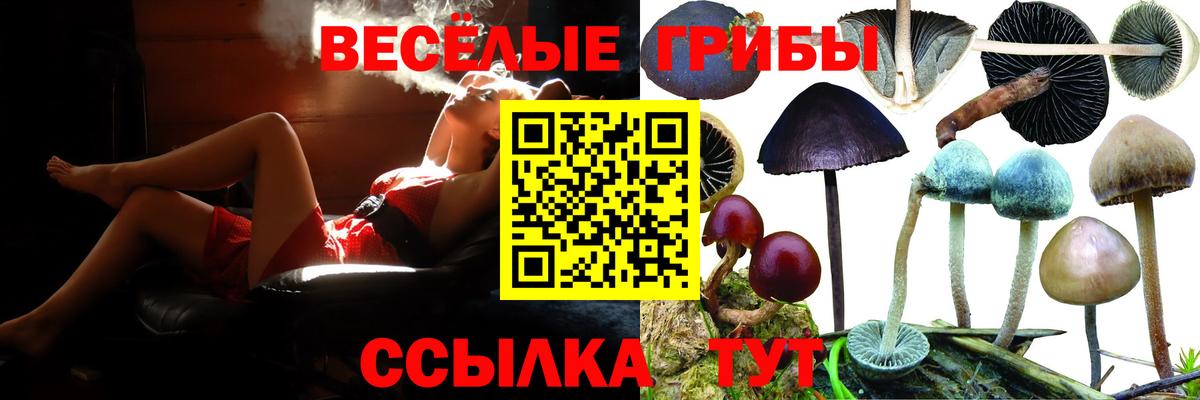 Светлоград  Галлюциногенные грибы GOLDEN TEACHER  Вход с VPN  Галлюциногенные грибы GOLDEN TEACHER 